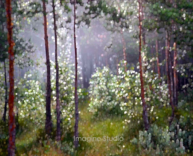 Landscape, Nature, Forest, Surreal Photography, Giclee Print, Photomontage, Collage, Photograph, Painted Photograph, Wall Art, Home Decor