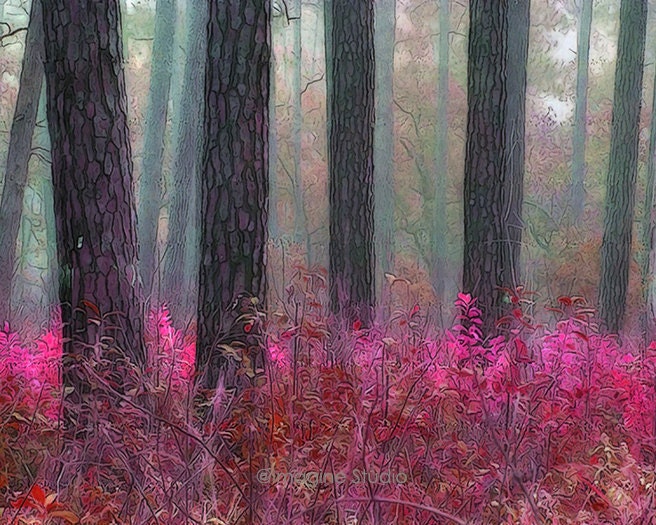 Landscape, Nature, Woodland,  Giclee Print, Photography, Fine Art Print, Trees, Home Decor, Wall Art