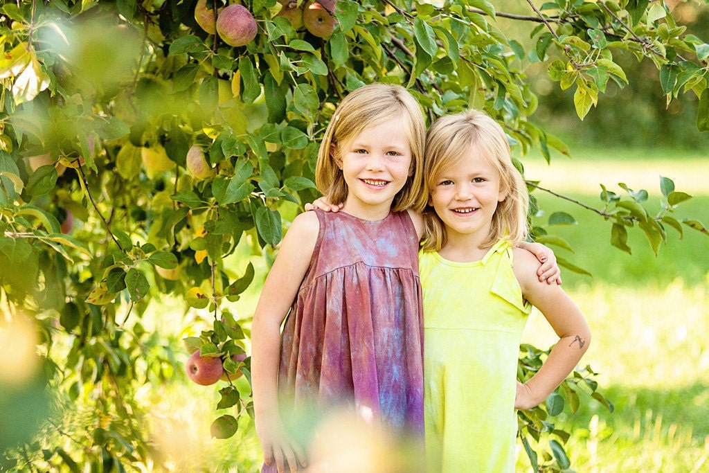 Dress - Empire Waisted Hand Dyed for Baby Toddler - size 2T in purples and yellow
