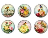 Six Magnets - VICTORIAN BIRDS and FLOWERS - 1.25 inches