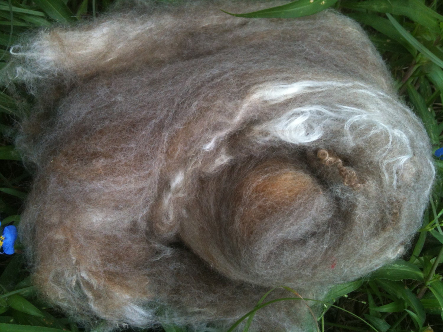 Fiber Art Batt for Spinning or Felting  "Donkey SIlk" Romney, Silk, Hemp, Mohair and Wenesleydale Locks
