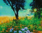 Prairie sunrise, 4x4, Fine Art photograph, mixed media, flower prairie, spring, tree, landscape