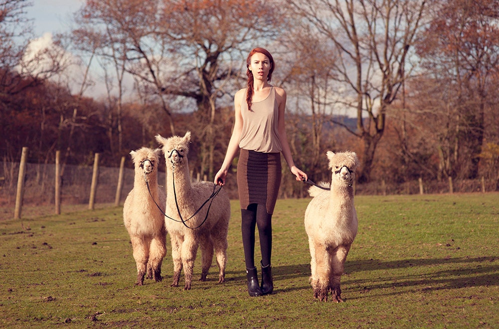 Bison/Alpaca Skirt