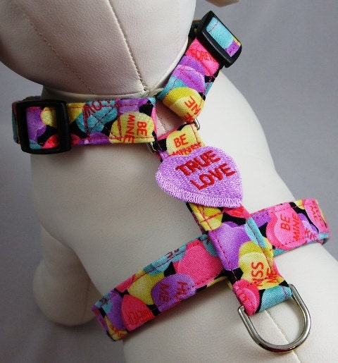 Dog Harness - Conversation Hearts