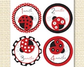 Red Ladybug Printable Monthly Onesie Designs Instant Download