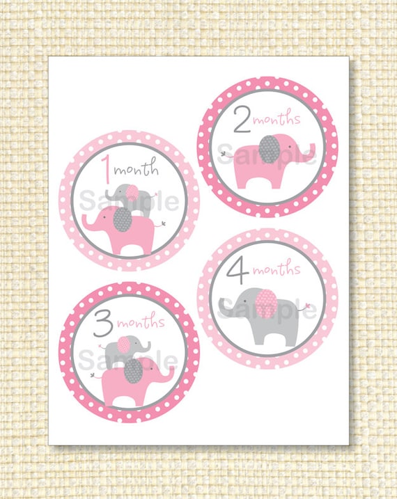 Mod Pink Elephant Printable Monthly Onesie Sticker Designs Instant Download Il_570xn