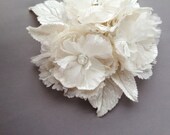 Ivory Centifolia