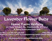 Lavender Flower Buds, culinary, food grade excellent for bridal sachets and crafts