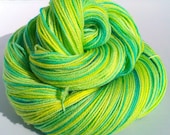 Handpainted Sock Yarn -  Fingering Weight Hearty Sock Yarn - 100% 3 Ply Superwash Merino Wool  - Parakeet