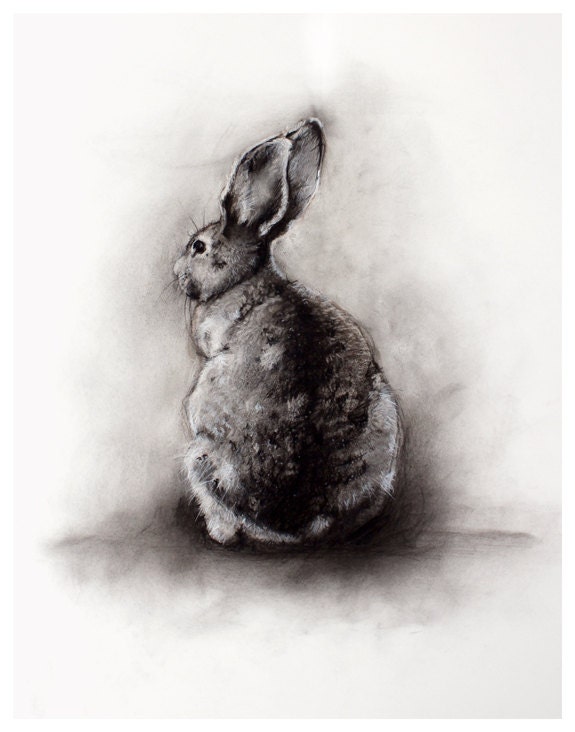 rabbit giclee print from original charcoal drawing