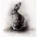 rabbit giclee print from original charcoal drawing