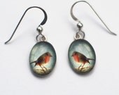 Sweet English Robin Sterling Silver Oval Drop Earrings with Resin and Fine Art Image Transfer