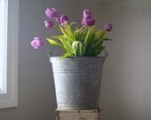 Rustic Vintage Galvanized Bucket, Spring Garden, Home Decor, Planter, Industrial Bucket, Farm House