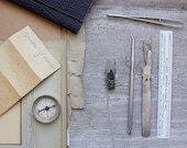 Antique Dissecting Tools - Vintage