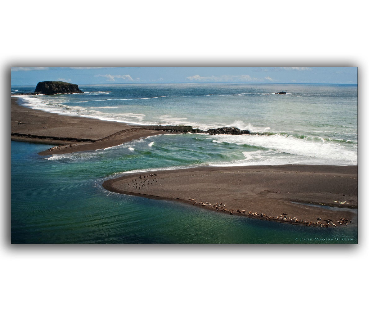 Ocean Photography -California Coast -8x16 Panoramic Photo -Beach Decor -Sea Green -Coastal Living -Fine Art Photography