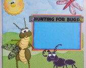 Hunting for Bugs