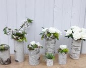 Sale, Collection of 7 birch bark vases/candle holders