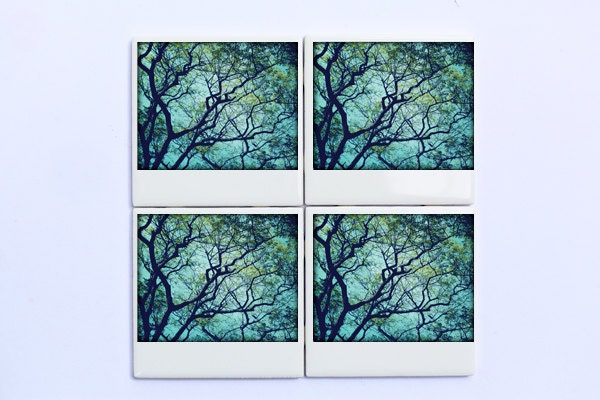 Nature Photography Polaroid Photo Coasters, Set of 4 Drink Coasters, Nature, Blue, Green