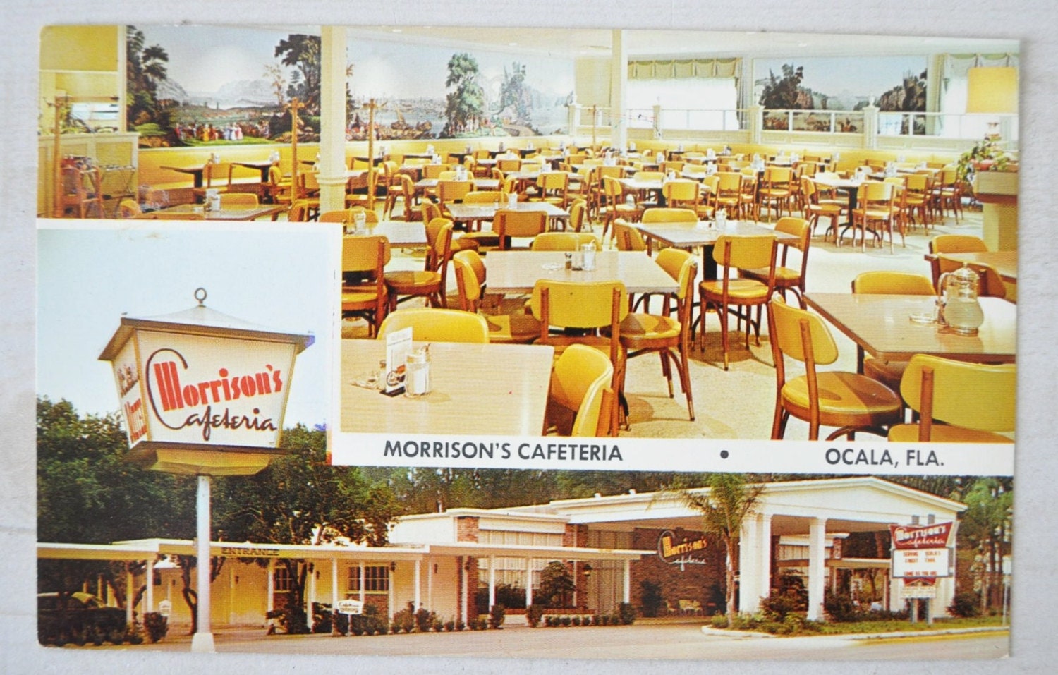 1960s vintage postcard/ Morrisons Cafeteria, Ocala, Florida