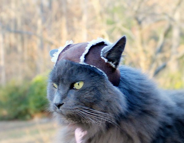Aviator Cat Hat - Sherpa Suede Cat Hat