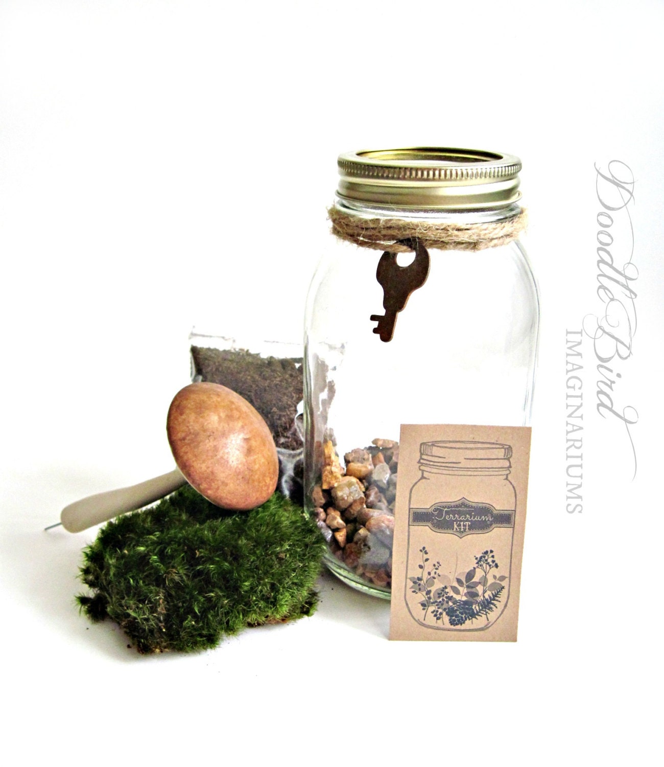 Terrarium Kit / Mason Jar Kit & Plants / Terrarium Gift Set / DIY Starter Kit / How to Build a Terrarium