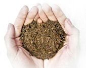 Organic Soil / Terrarium Supplies / Peat Moss Dirt / DIY Kit / Large Bag