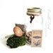 Terrarium Kit / Mason Jar Kit & Plants / Terrarium Gift Set / DIY Starter Kit / How to Build a Terrarium