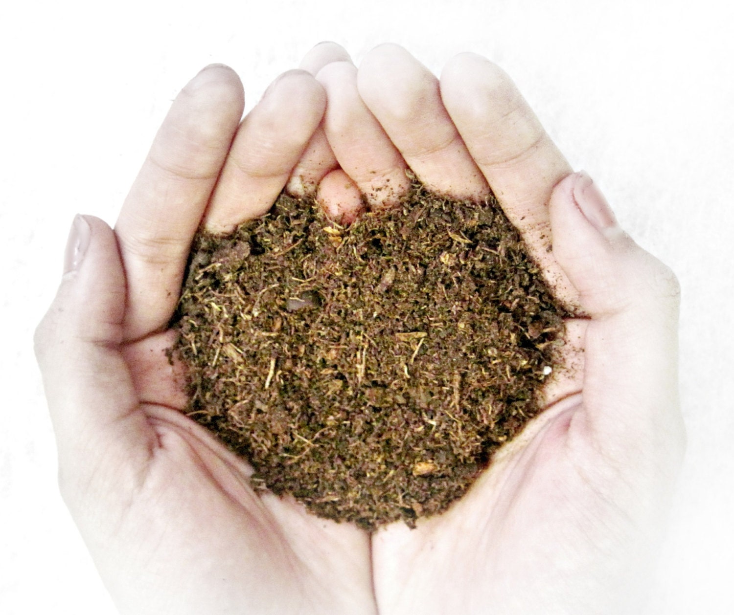 Organic Soil / Terrarium Supplies / Peat Moss Dirt / DIY Kit / Large Bag