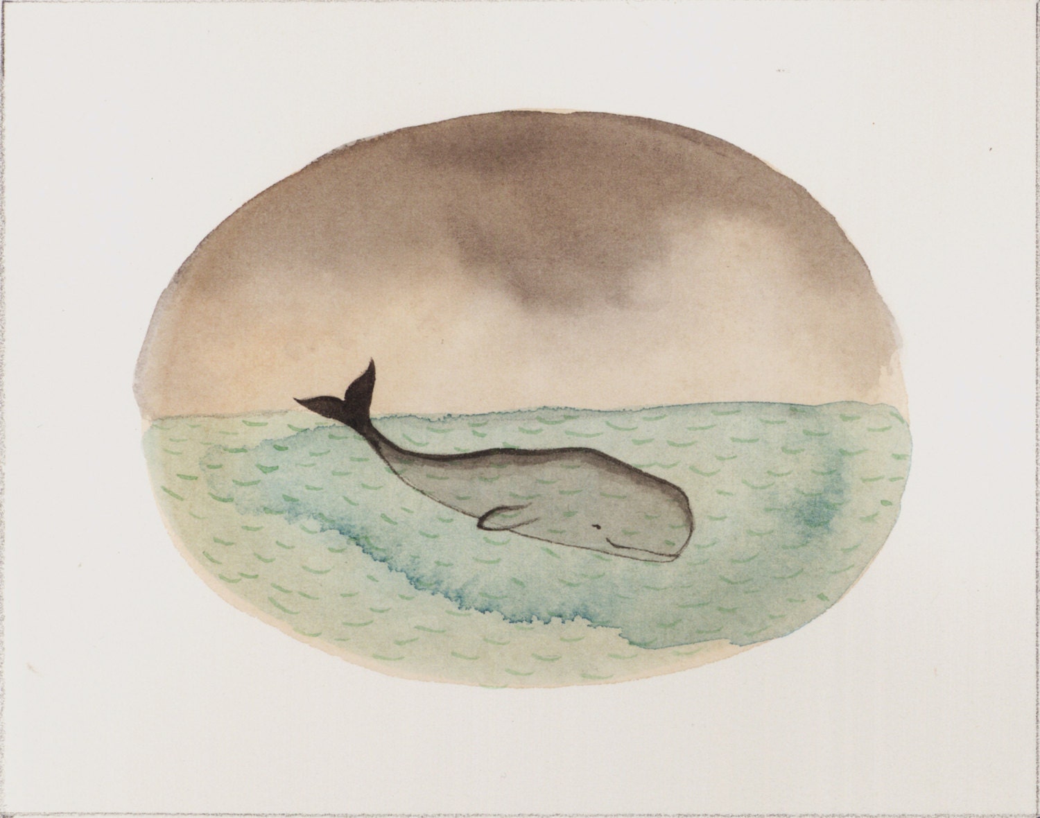 Whale 17