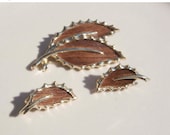 Summer Sale Vintage Sarah Coventry Wooded Beauty Brooch Earring set 1968
