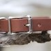 Wedding Dog, Will You Marry Me, Bridal Dog, Engagement Dog Collar, Wedding Pet