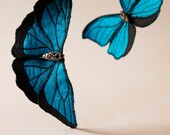 Soft Sculpture Blue Morpho Butterfly Dupioni Silk Brooch Folded Wings