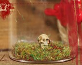 Skull -3 mm- in Miniature Bottle Dollhouse Apothecary Skeleton Bones Home Decor "So Lonely I Could Die"