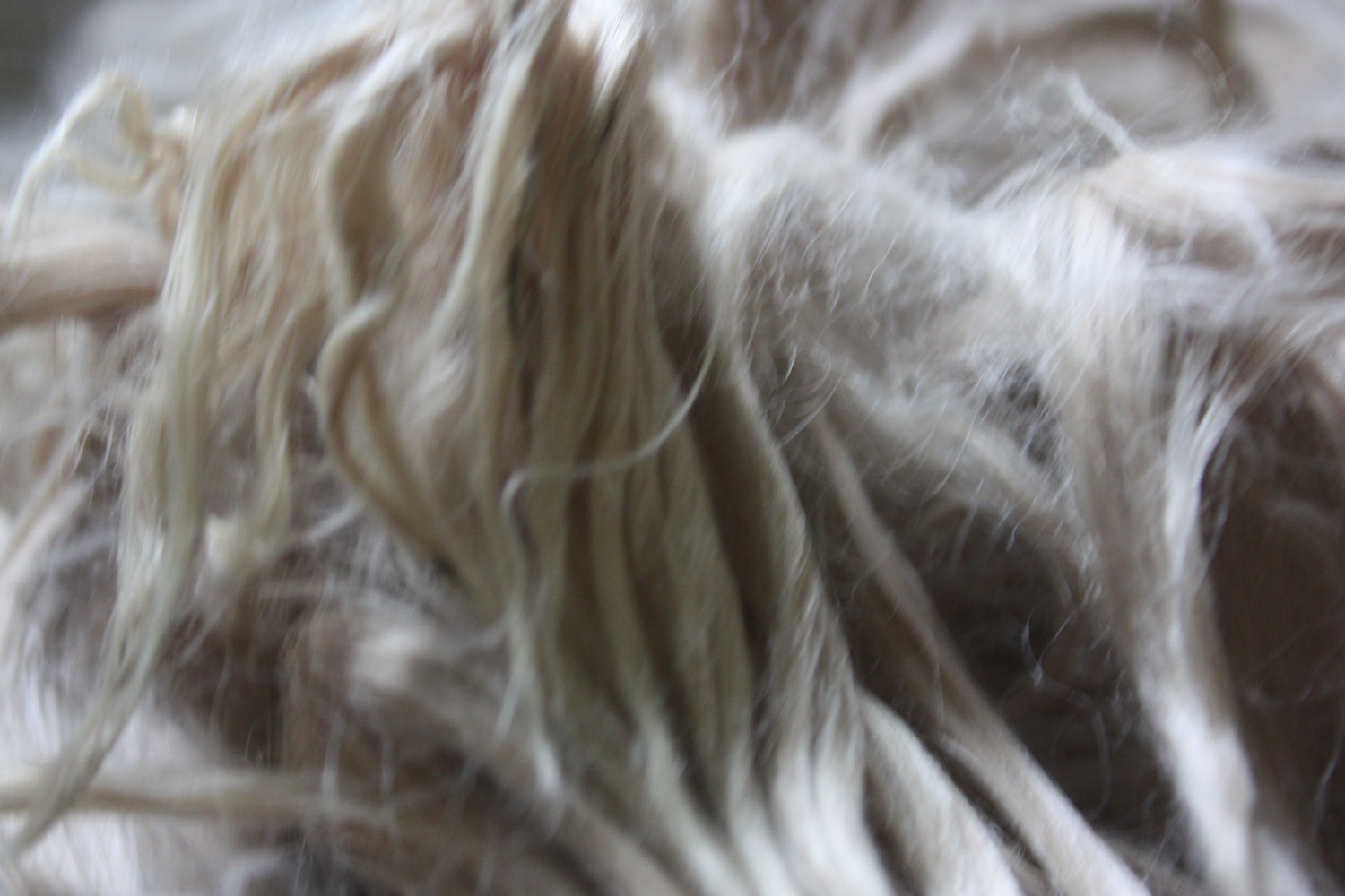 Suri Alpaca Roving, raw