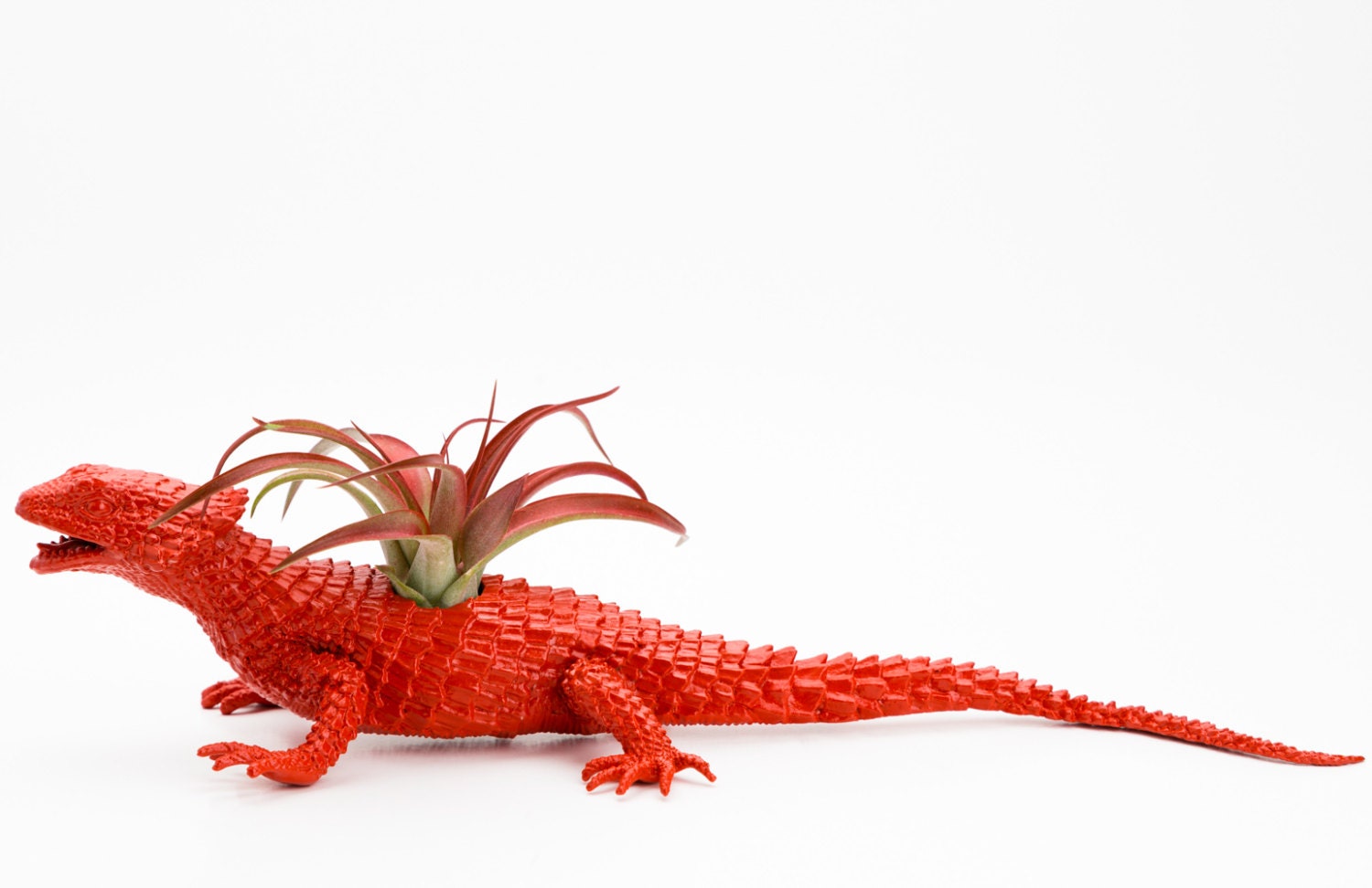 Air Plant Lizard Planter, Reptile Room Decor, College Dorm Ornament, Air Plant Pot, Red Geekery