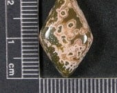 Ocean Jasper Cabochon Hand Cut JO244