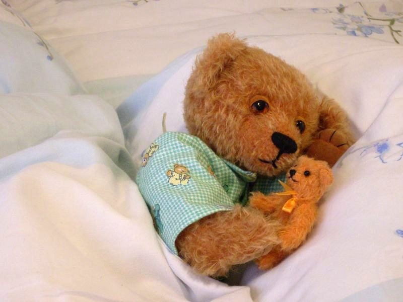 Pattern of  artist teddy bear Mirosha 12 " in PDF format, OOAK,  beige, amber,  green,  mohair,  jointed
