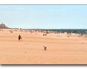 Coney Island Fine Art Photography, Man With Metal Detector, Beach Prospecting With Bathers And Birds In The Background.