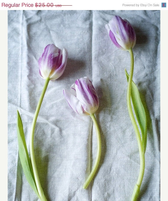 40% OFF SUMMER SALE Spring, Tulips, Flowers, Linen, Green, Whimsical, Fresh - Tulips Ii - Nature Photo by Tina Crespo