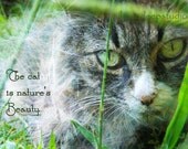 Cat Photograph 8x10 fine art with text original print by Knee Deep Originals