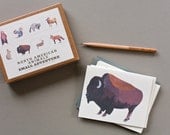 North American Animal Cards (Set of 8)