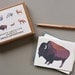 North American Animal Cards (Set of 8)