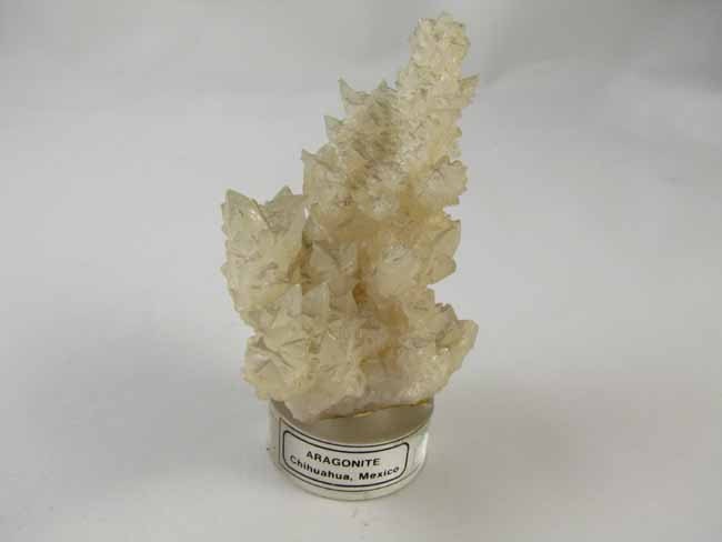 Aragonite crystal mineral geology specimen curio Chihuahua Mexico lucite base