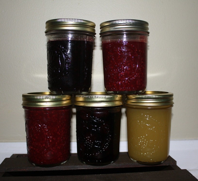 Sampler Pack of Jams: Five 6 oz jars