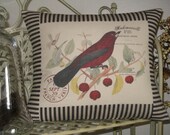 French Post Card Bird Pillow with Black and Off White Ticking Stripe, Bird Throw Pillow Cover, Mademoiselle Fifi