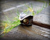 Mini Cranky Great Horned Owl Focal Bead