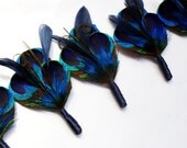 TARDIS - Feather Peacock Boutonniere or Lapel Pin for the Groomsmen with Navy Blue Wrap