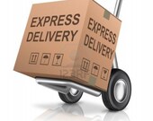 Express shipping options