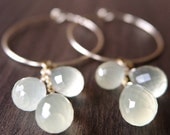 Vanilla Moonstone Cluster Hoops - 14k Gold Earrings