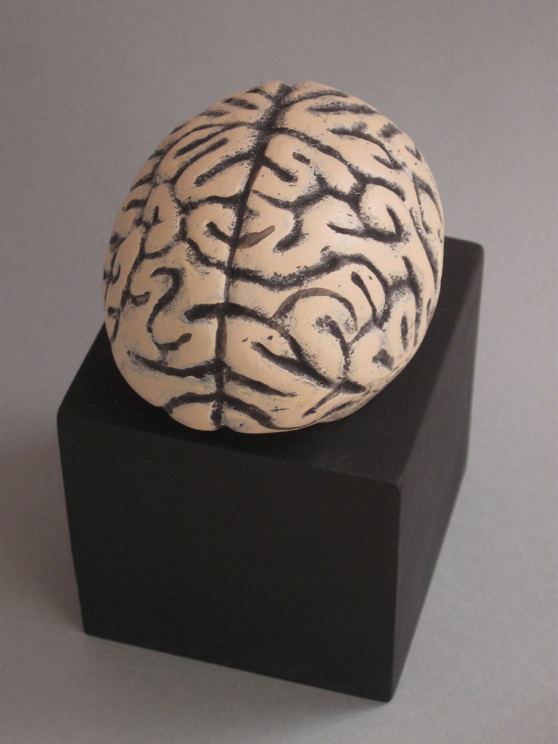 Basic Hardware Brain - Lisa Snellings